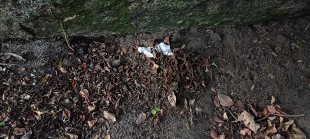 Papéis encontrados